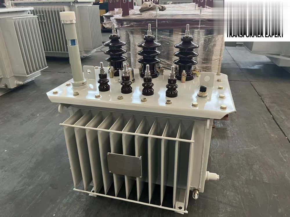 3 phase oil immersed transformer 750kva China Manufacturer