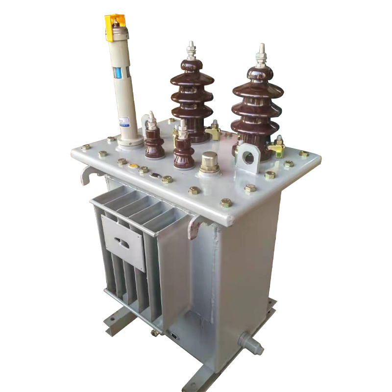 Outdoor single phase oil Immersed Transformer 10kva China Manufacturer