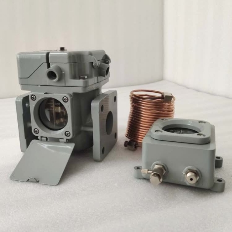 Buchholz Relay Gas Relay for Transformer China Manufacturer