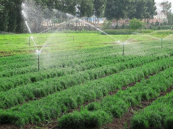 Application of intelligent digital pressure controller in agricultural irrigation field