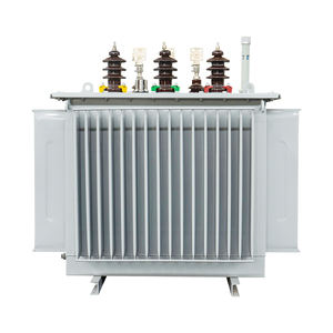 oil immersed transformers